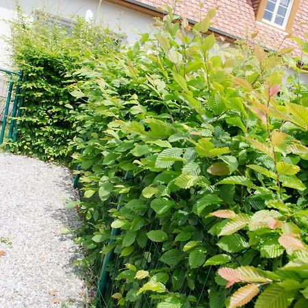 Whitley Cottage Condette Ngoại thất bức ảnh